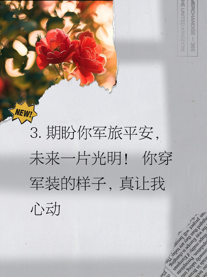 队员荣耀归来，披荆斩棘向荣耀进发的简单介绍